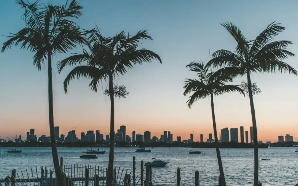 Palme davanti allo skyline di Miami al tramonto